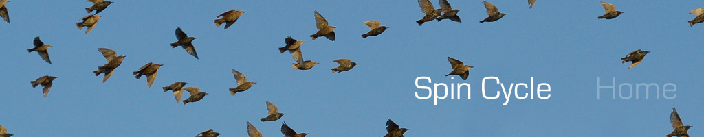 Spin Cycle Banner